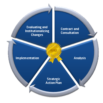Systems Process Model
